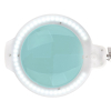 LAMPA LUPA LED MOONLIGHT 8013/6